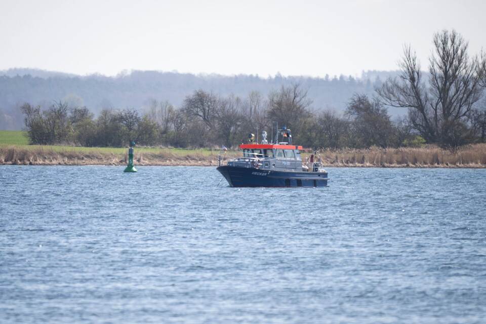 Gestrandeter Buckelwal in Wismarbucht