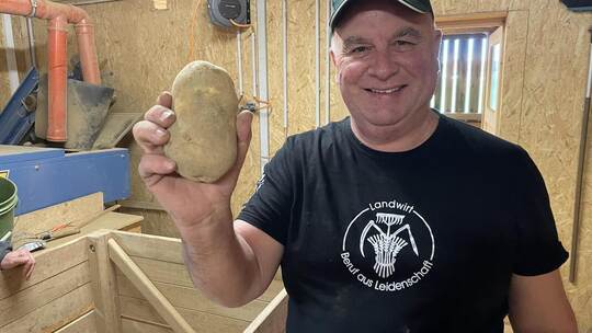 Landwirtschaft heißt auch Leidenschaft. Rund zehn Prozent der Anbaufläche bei den Böhmlers aus Friolzheim entfallen auf den Kart