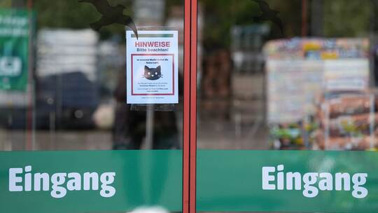 Katze "Lotti" lebt in Baumarkt
