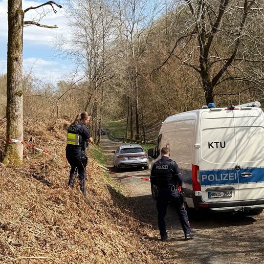Menschlicher Kopf gefunden - Mordkommission ermittelt