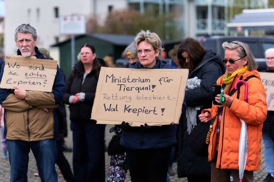 Demo für Rettung des Buckelwals Demo für Rettung des Buckelwals