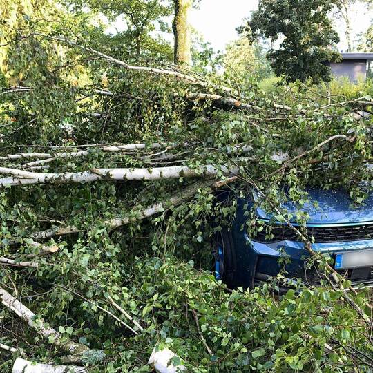 Schaden durch Naturgefahren.
