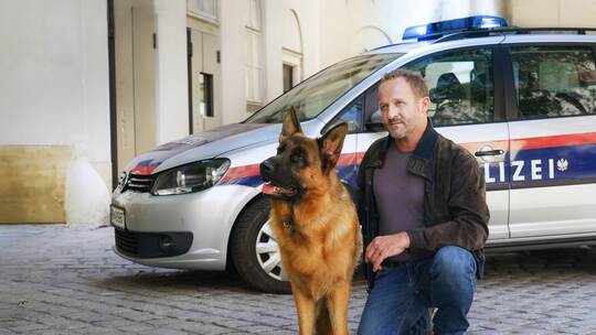 TV-Ausblick Sat.1 - «Kommissar Rex»