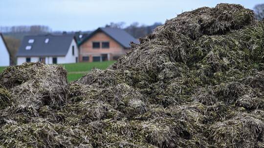 Misthaufen vor Häusern