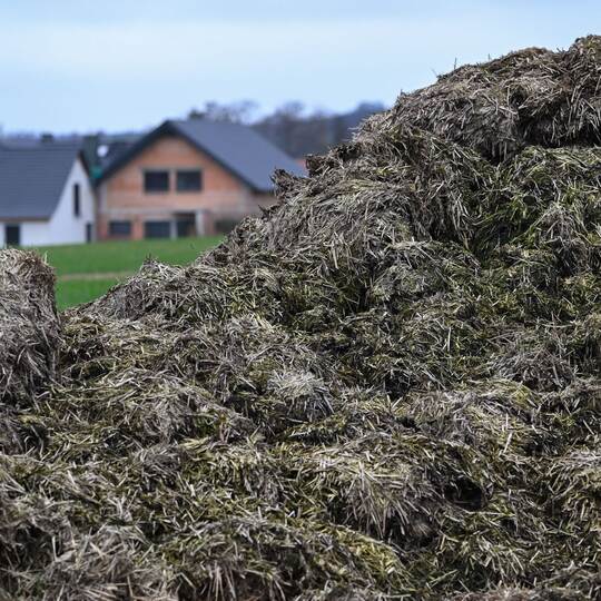 Misthaufen vor Häusern