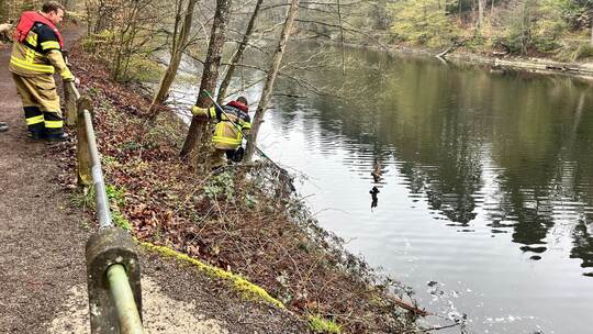 Feuerwehrleute retten Kauz vor Erstickungstod