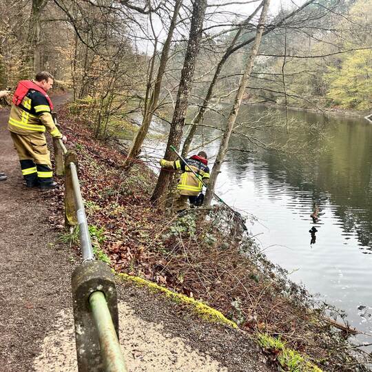Feuerwehrleute retten Kauz vor Erstickungstod