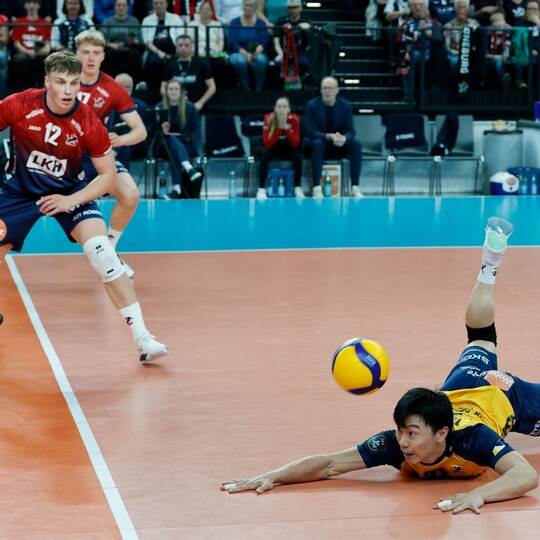 CEV-Pokal - SVG Lüneburg - LPR Piacenza