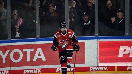 Kölner Haie - Eisbären Berlin