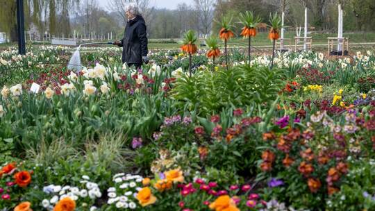 Vorbereitungen Landesgartenschau Ellwangen
