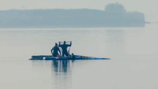 Rettungsaktion für den Buckelwal