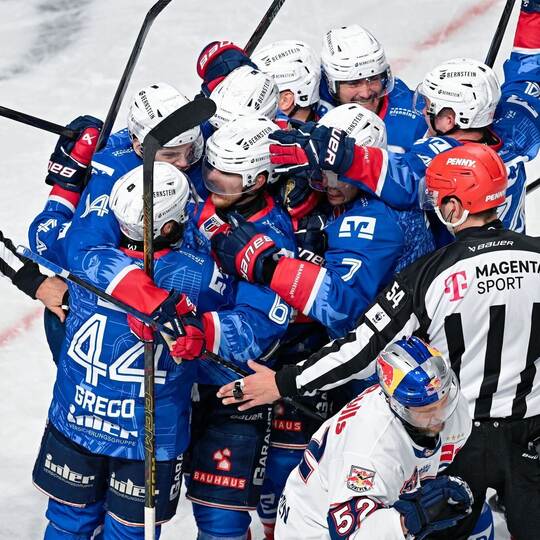 Die Spieler der Adler Mannheim
