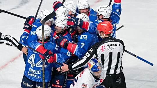 Die Spieler der Adler Mannheim