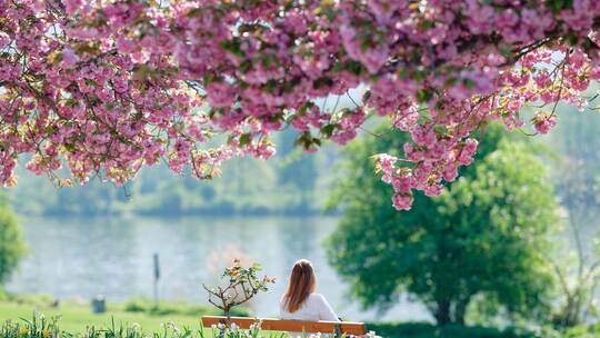 Frühling in Baden-Württemberg