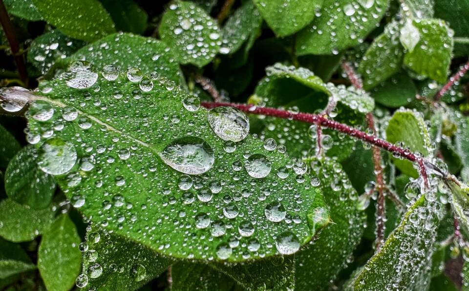 Wetter in Baden-Württemberg