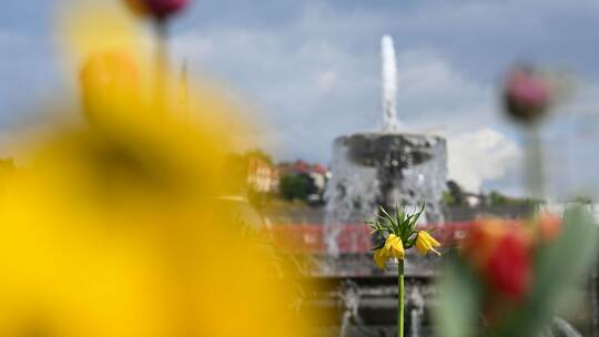 Wetter in Baden-Württemberg
