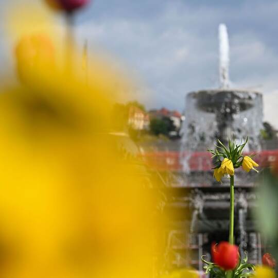 Wetter in Baden-Württemberg