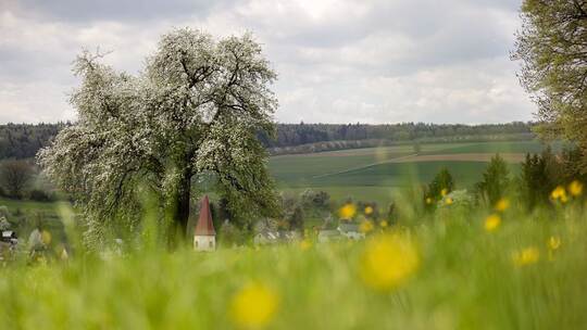 Wetter in Baden-Württemberg
