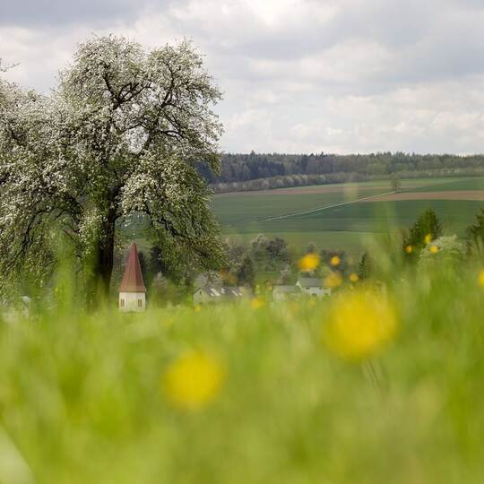 Wetter in Baden-Württemberg