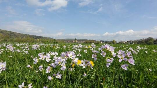Wetter in Baden-Württemberg