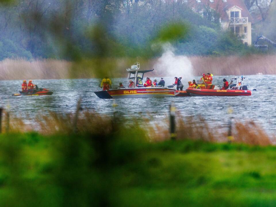 Gestrandeter Buckelwal ist geschwommen