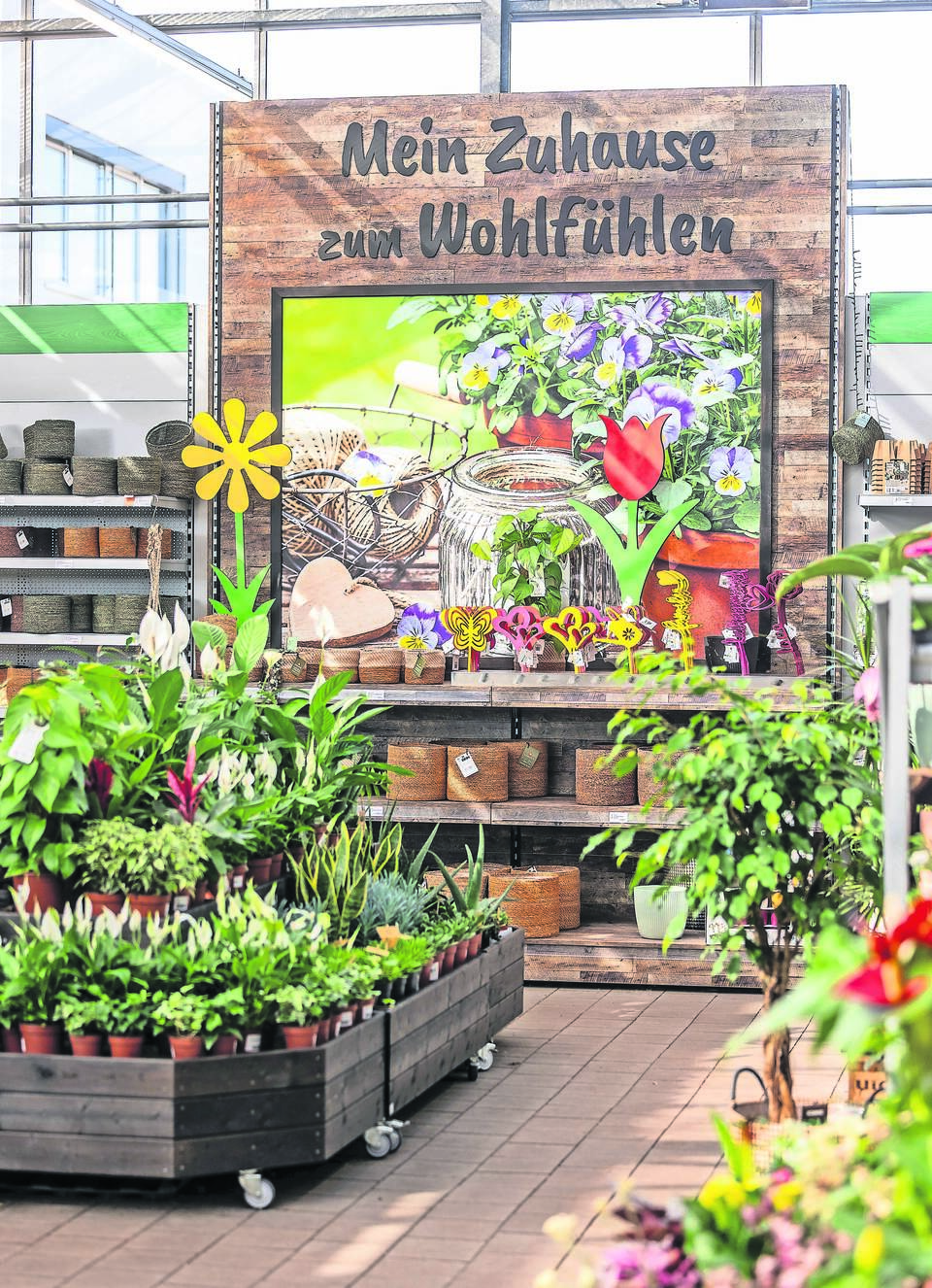 Kollektiv Raiffeisenmarkt