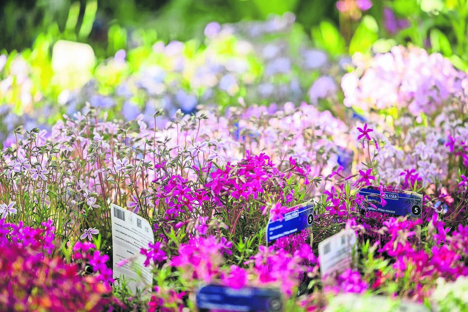 Kollektiv Raiffeisenmarkt