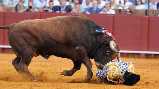 Stierkampf in der Maestranza in Sevilla