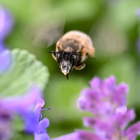 Wetter in Baden-Württemberg