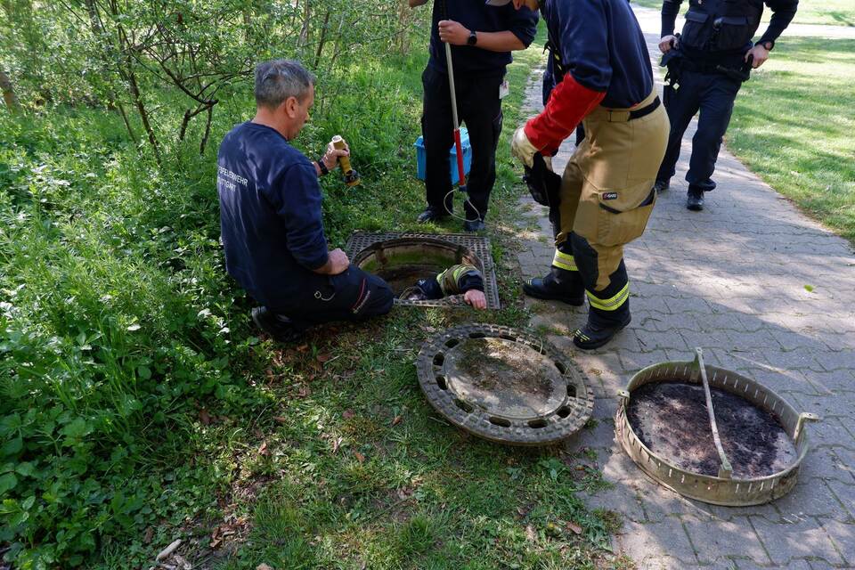 Feuerwehr rettet Fuchs aus Abwasserkanal