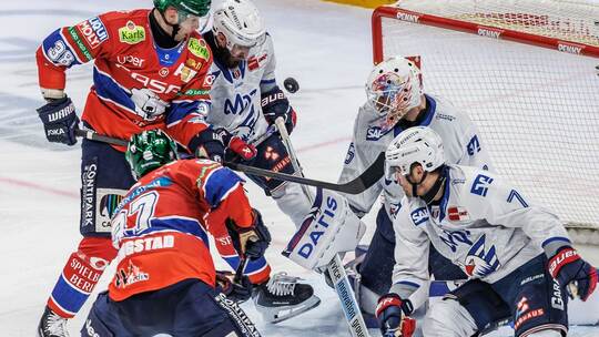 Eisbären Berlin - Adler Mannheim