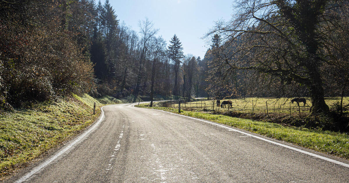 Incorrect Sign to Be Replaced: Grösseltal Route Open to Engelsbrand Town ...