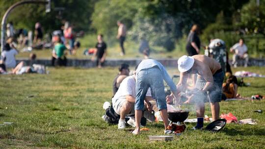 Menschen grillen im Park Menschen grillen im Park