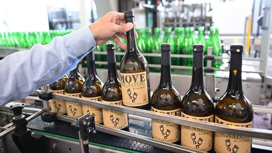 Wein in Pfandflaschen