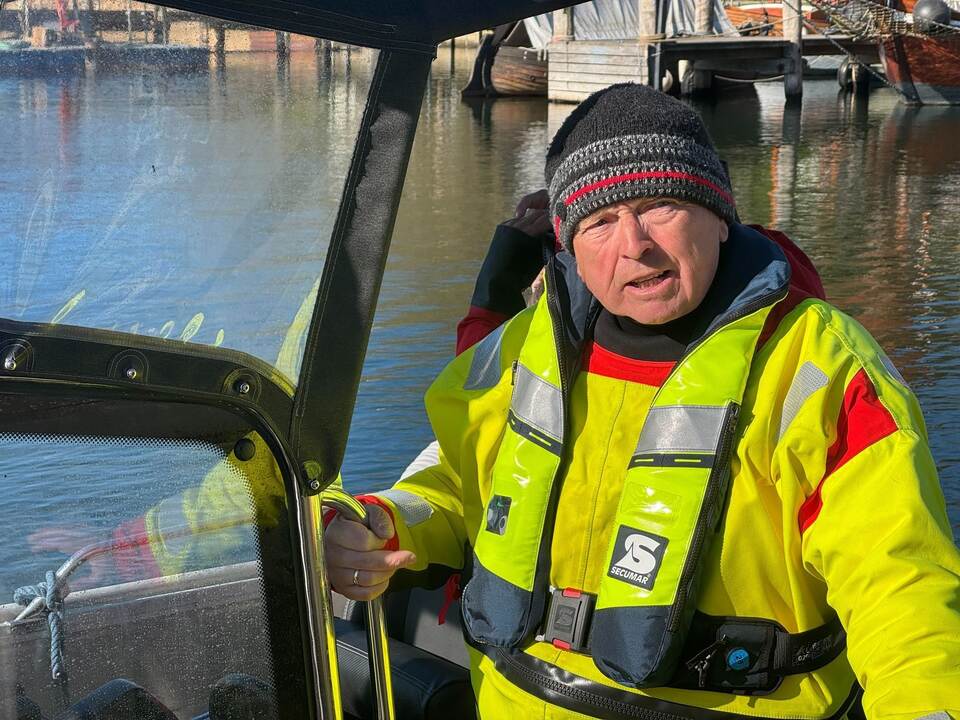 Weitere Entwicklung zum Buckelwal in der Ostsee