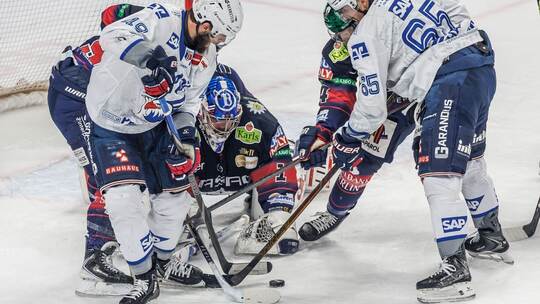 Eisbären Berlin - Adler Mannheim