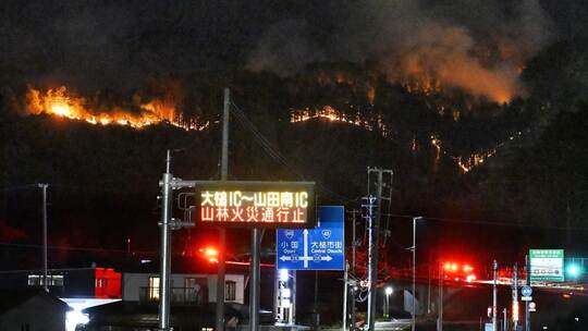 Waldbrand im Nordosten Japans