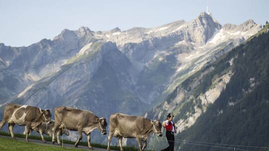 Neubau Säntis-Schwebebahn: Gipfel vorerst nur zu Fuß