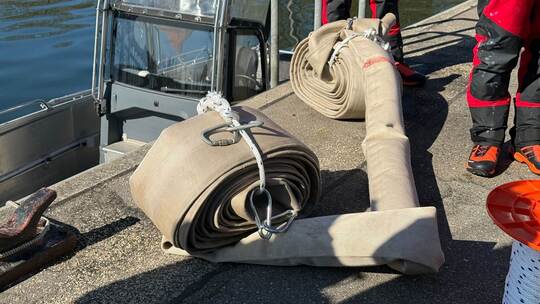 Weitere Entwicklung zum Buckelwal in der Ostsee