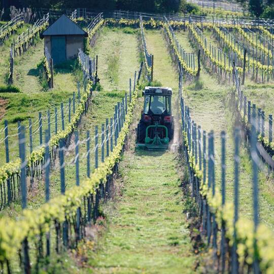 Wetter in Baden-Württemberg