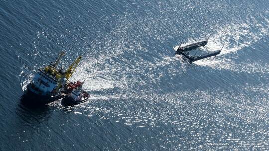 Weitere Entwicklung zum Buckelwal in der Ostsee
