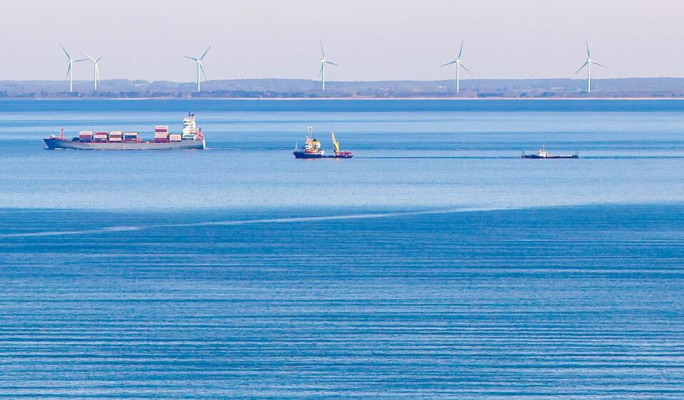 Weitere Entwicklung zum Buckelwal in der Ostsee