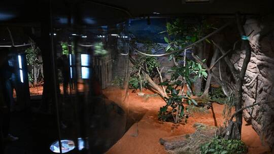 Terra Australis in der Wilhelma