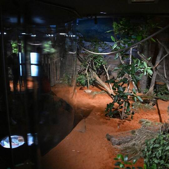 Terra Australis in der Wilhelma