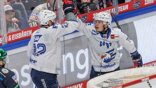 Eisbären Berlin - Adler Mannheim