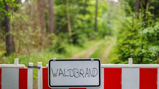Waldbrand