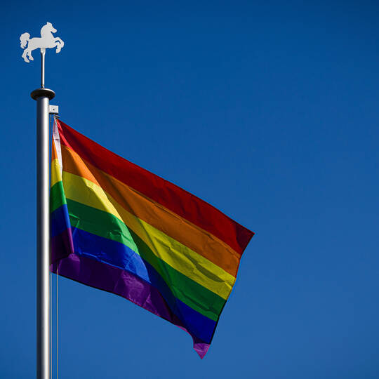 Regenbogenflaggen-Aktion in Wahrenholz