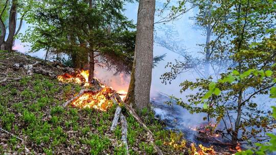 Waldbrand in Werdohl