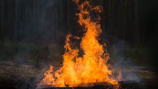 Lagerfeuer