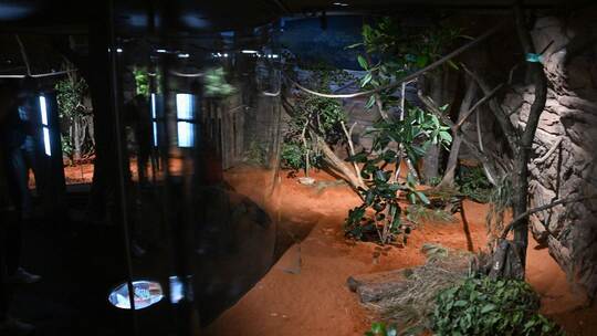 Terra Australis in der Wilhelma